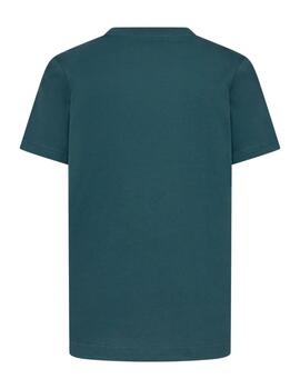Camiseta Jordan Y Air Ring Verde