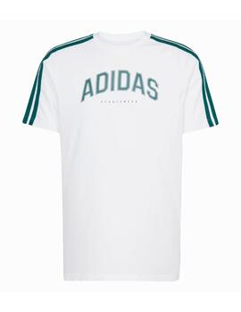 Camiseta Adidas M C Colleg Blanco/Verde