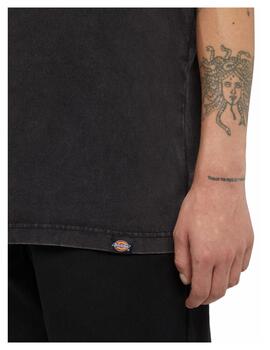 Camiseta Dickies MN Plentywood SS Negro